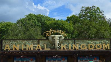 Animal Kingdom