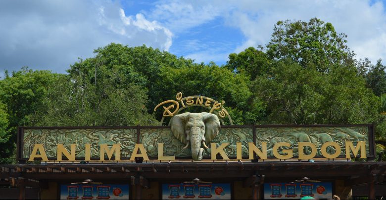 Animal Kingdom