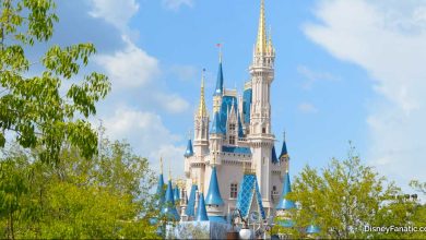 Cinderella Castle