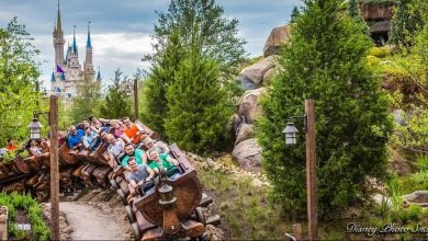 7 Dwarfs Mine Train