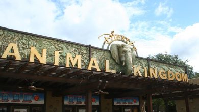 Animal Kingdom Sign