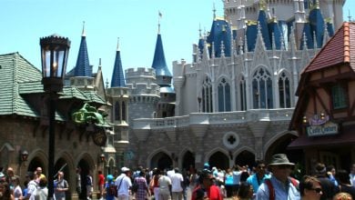 Castle Fantasyland