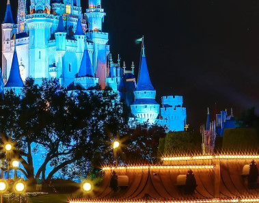 Disney Castle Night