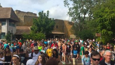 Animal Kingdom Crowd