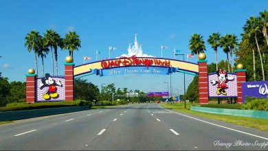 Walt Disney World Park Sign Main Entrance