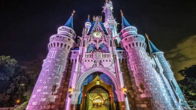 Disney Castle