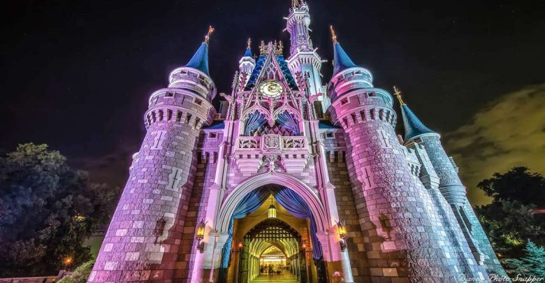 Disney Castle