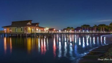 Polynesian Resort