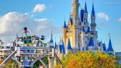 Disney Castle Tomorrowland