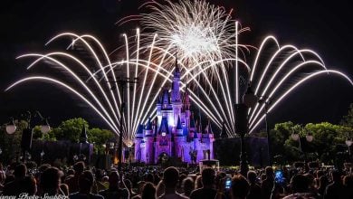 A large crowd watches a nighttime fireworks display above a brightly lit Disney castle, with multiple white firework streams arching across the sky and trees surrounding the castle.