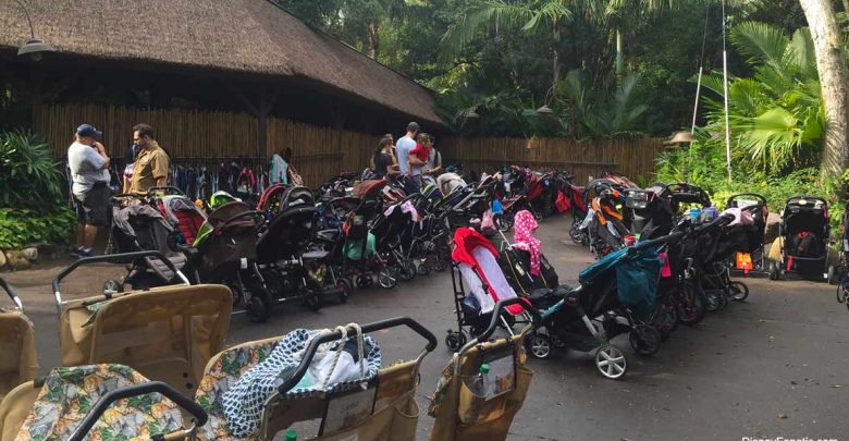 Strollers parking at Animal Kingdom