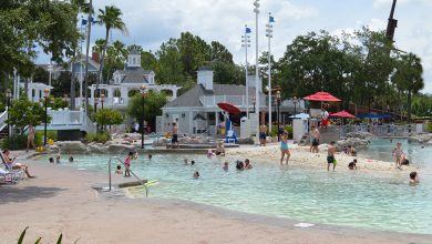 Castaway Cay Beach And Yacht Club Disney World Resort