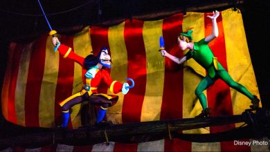 Flight Of Peter Pan