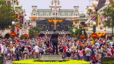 Rope Drop Magic Kingdom