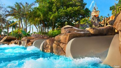 Waterparks Disney