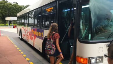Disney Transportation Bus