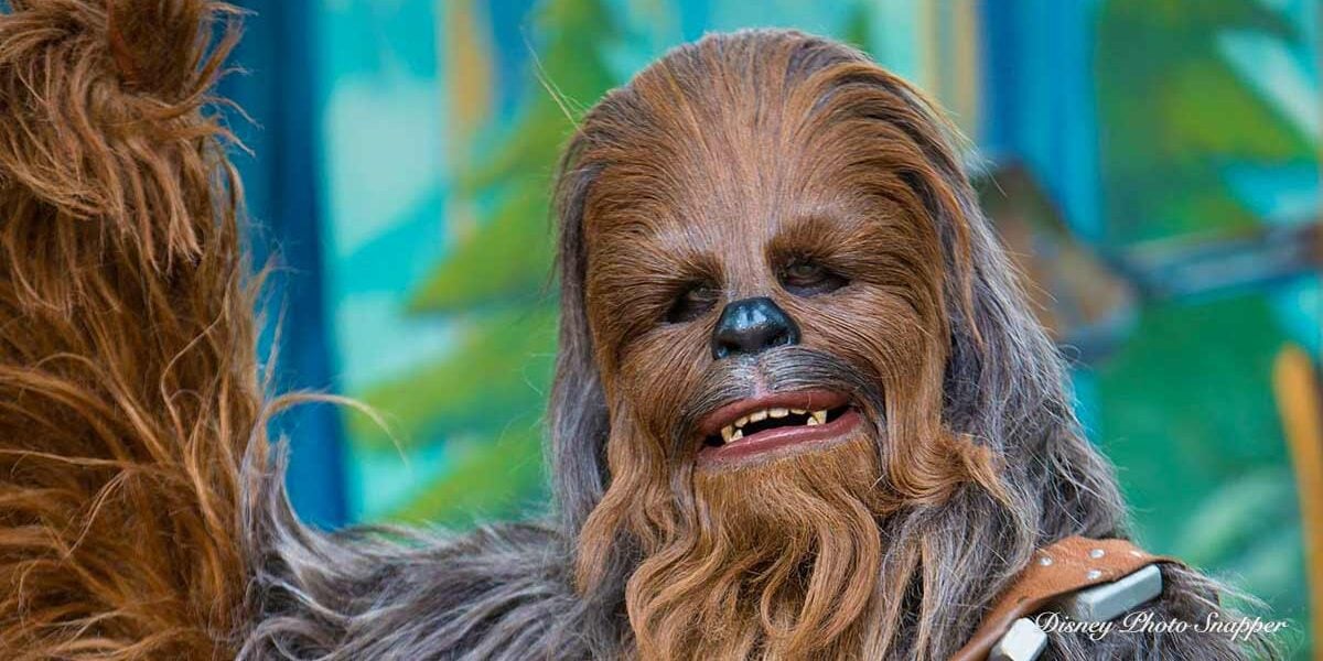 Chewbacca