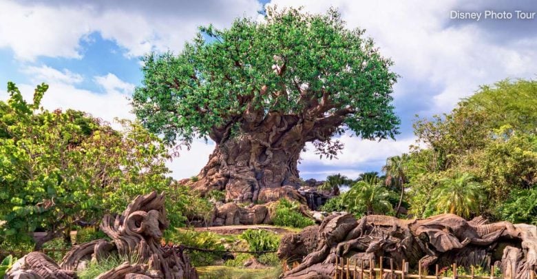 Tree of life at Disney's Animal Kingdom Park