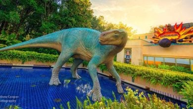 Dinosaur
