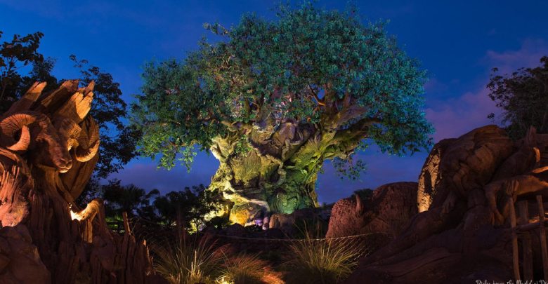 AK_Night_TreeOfLife