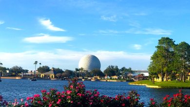 A scenic view of a lake with vibrant pink flowers in the foreground, trees along the shore, and a large white geodesic dome in the distance under a blue sky.