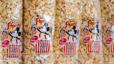 Kettle corn popcorn bags featuring a cheerful cartoon mouse and popcorn bucket, stacked neatly on a souvenir shop shelf.