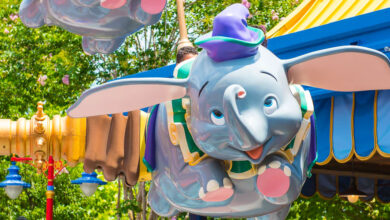 MK_Fantasyland_Dumbo