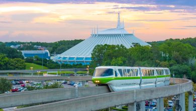 Space Mountain