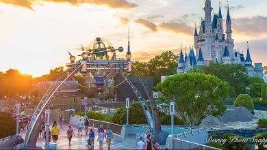 Tomorrowland bridge