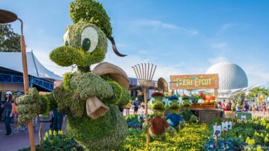 Donald Duck and nephews topiaries at Epcot’s Flower & Garden Festival with Spaceship Earth, a Disney fan favorite experience.