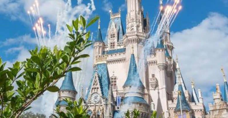 Castle Day Fireworks
