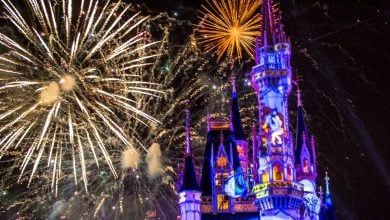 Happily Ever After Fireworks