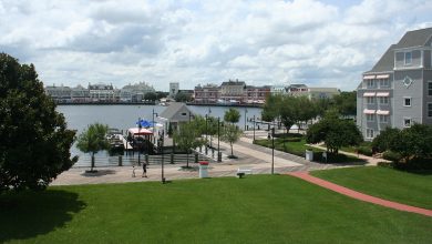 The lively Disney Springs boardwalk lined with shops, waterfront docks, lush lawns, and dramatic clouds overhead.