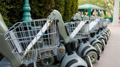 Wheelchair Rental