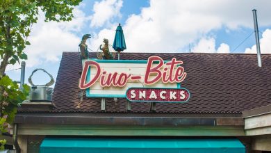 Dino-Bite Snacks