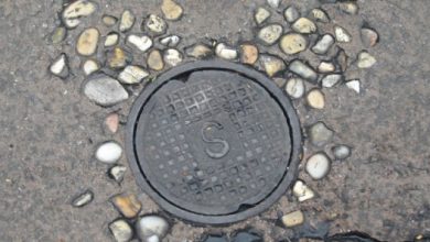 Hidden Mickey