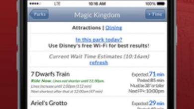 Disney World Lines from Touring