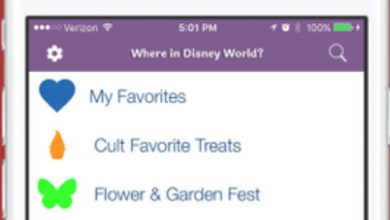 Where In Disney World