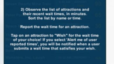 Wish A Wait TIme