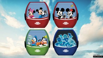 Disney World Gondola