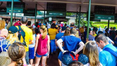 MK Entrance Crowd