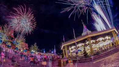 Carrousel Night