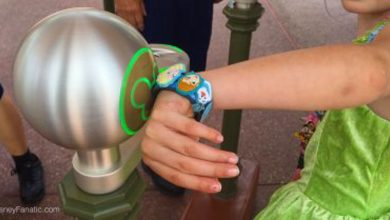 Magic Band FastPass+