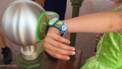 Magic Band FastPass+