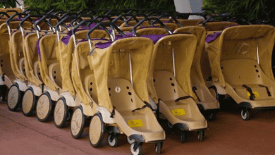 Disney strollers for rent