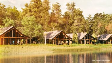 Cooper Creek Cabins