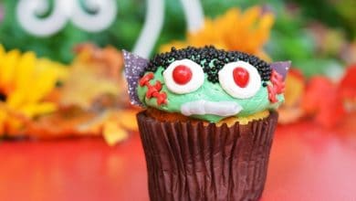 Monster Cupcake