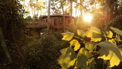 Saratoga Springs Treehouse Villa