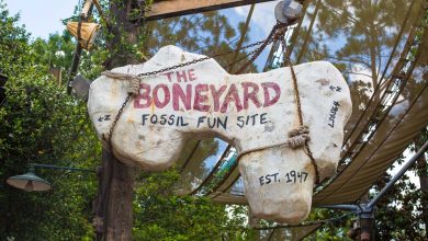 Dinoland Boneyard