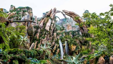 Pandora’s floating mountains, lush greenery, and cascading waterfalls immerse guests in Disney’s Animal Kingdom’s otherworldly adventure.